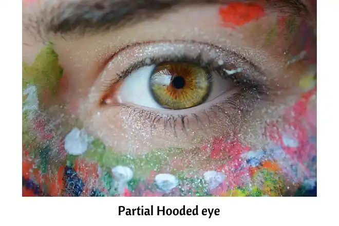 Partial Hooded eyes